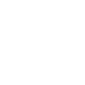 Aerodrom Icon